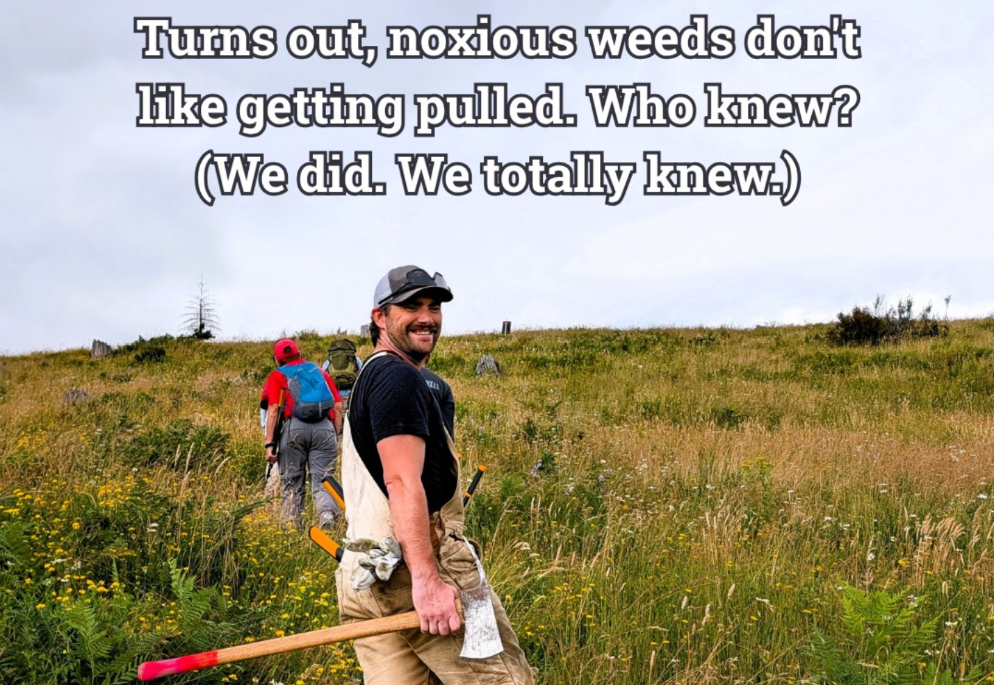 Weed Pulling Rodeo to celebrate National Public Lands Day