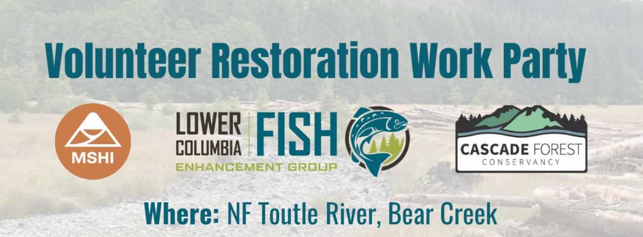 Bear Creek Riparian Restoration Work Party