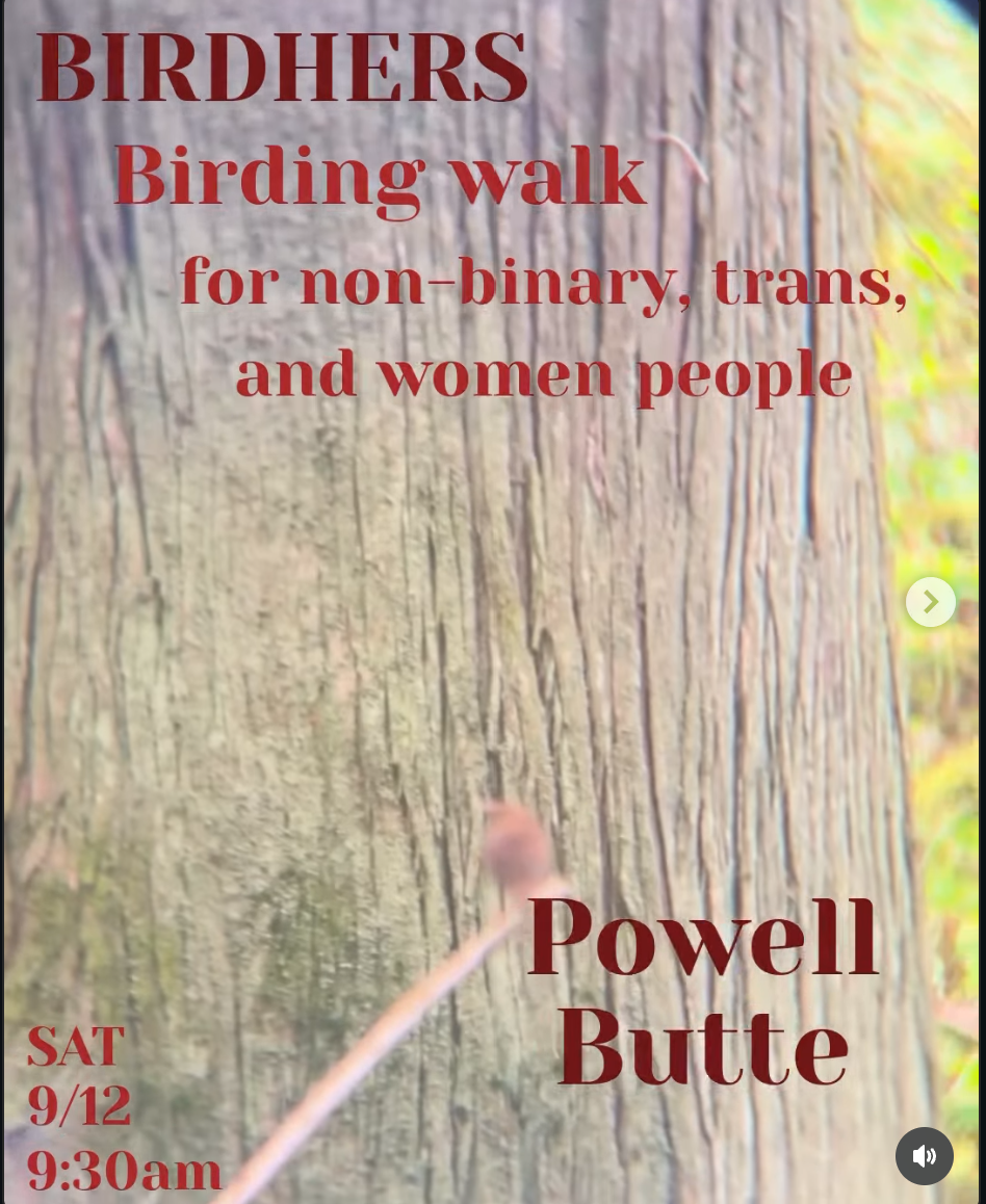 Birdhers Saturday birding walk