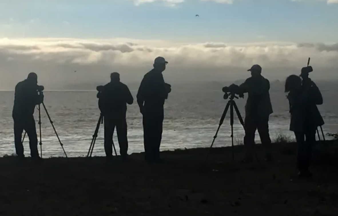 Vancouver Audubon Society Washington Coastal Excursion