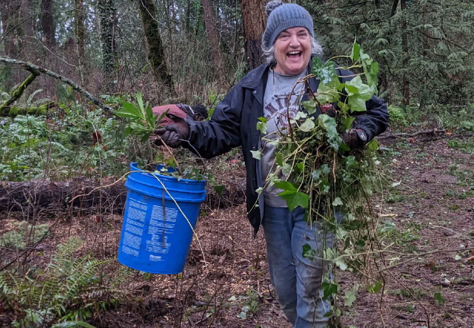 Ivy Removal at Behrens Woods