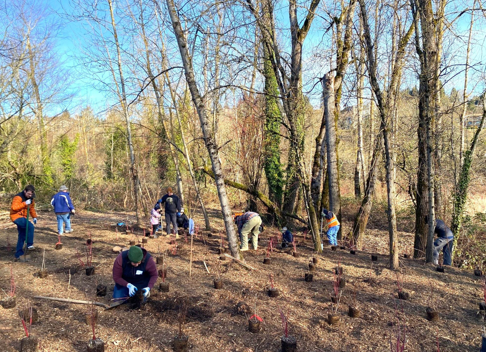 Make a Difference Day: Wetland Restoration and Native Planting Project