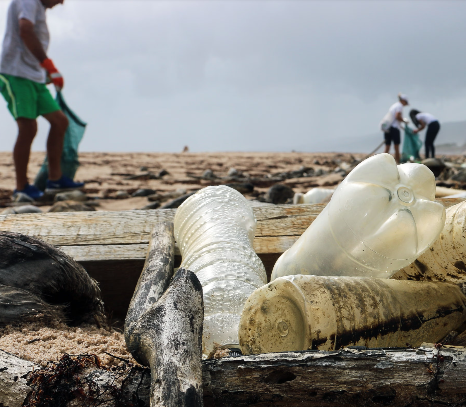 Marine Park Beach Cleanup