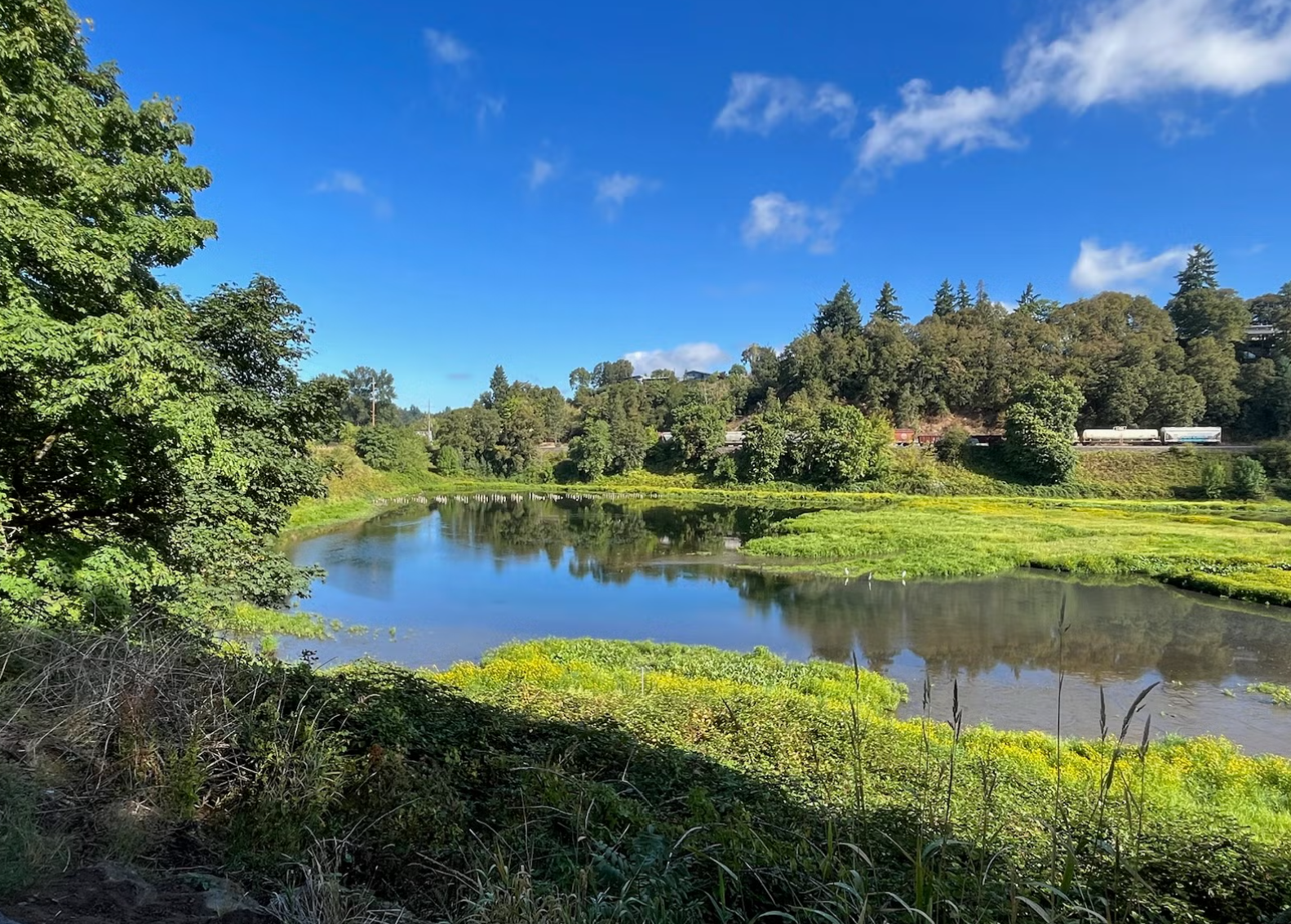 From Floods to Stormwater: The Story of Burnt Bridge Creek