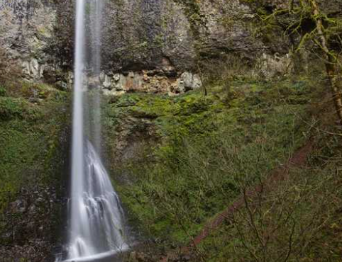 ROAD TRIP: Silver Falls State Park (OR) Winter Festival