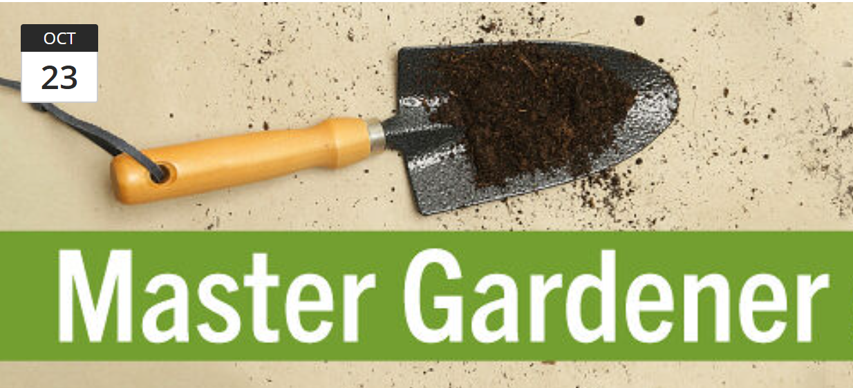 How to Winterize Your Garden For Spring Success