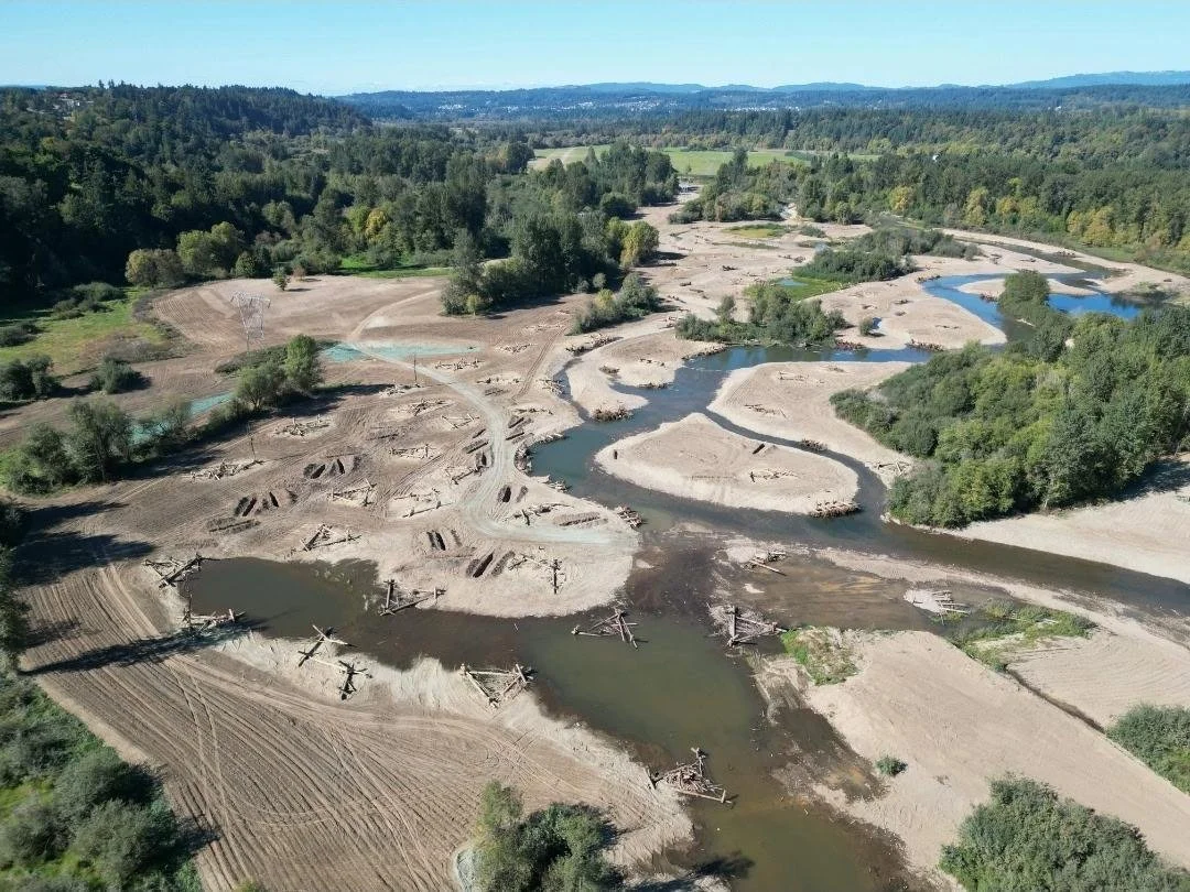 MLK DAY Volunteer Planting at the East Fork Lewis River