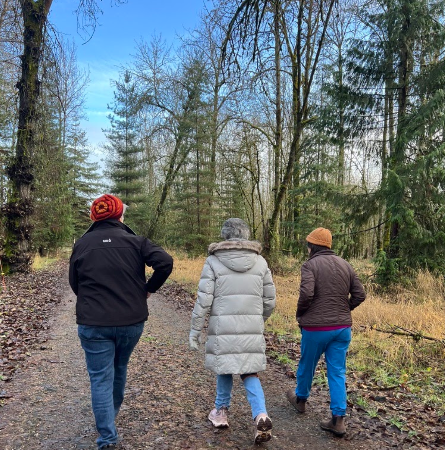Autumn Nature Walk with a Master Naturalist