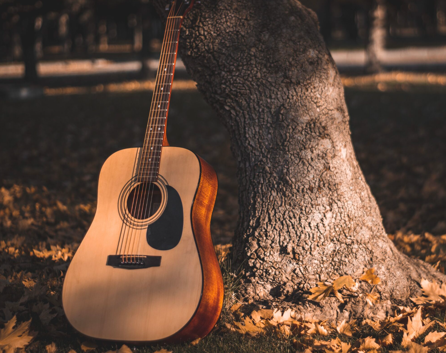 Place-Based Songwriting at Plas Newydd Farm