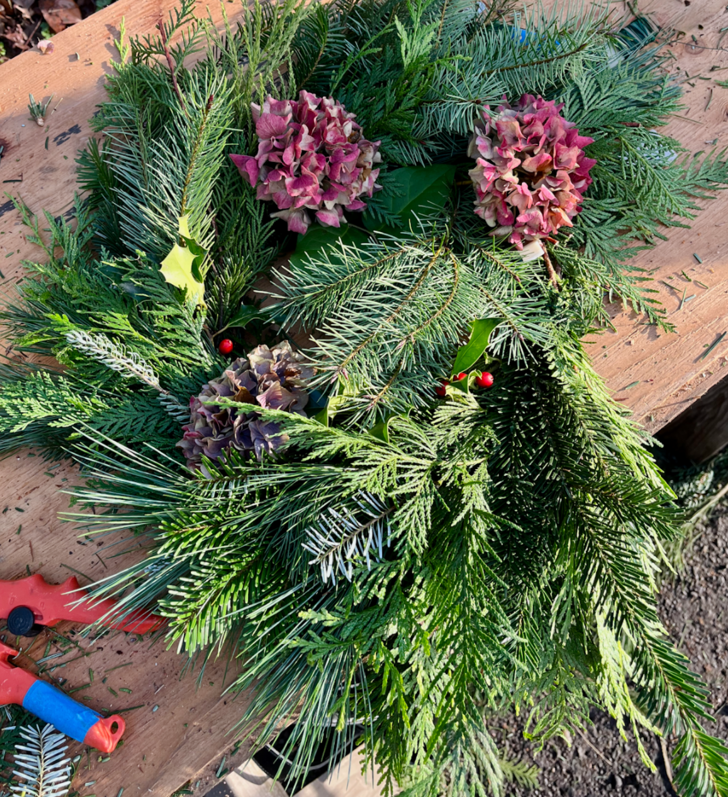 Winter Open House - Plas Newydd Farm