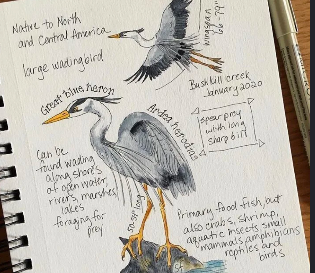 Take Learning Outside workshop: Nature Campus - Creating a Campus Field Guide Through Observation