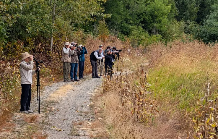 ROAD TRIP with Vancouver Audubon Society: Woodland Bottoms