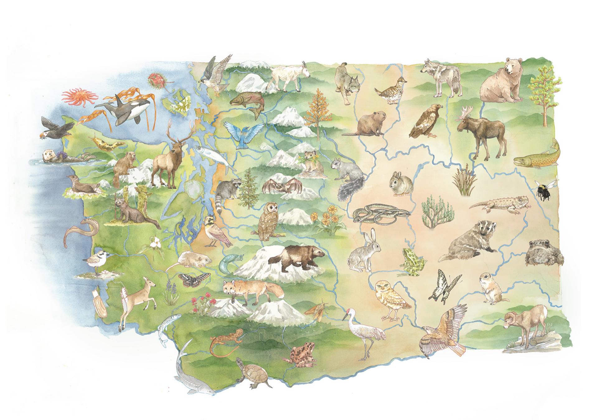 Educator Training: Many Places, Many Lives: Exploring Washington Wildlife Through Poetry and Science