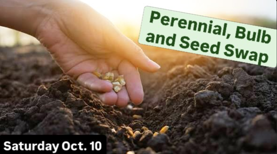 Naturescaping Perennial, Bulb and Seed Swap!