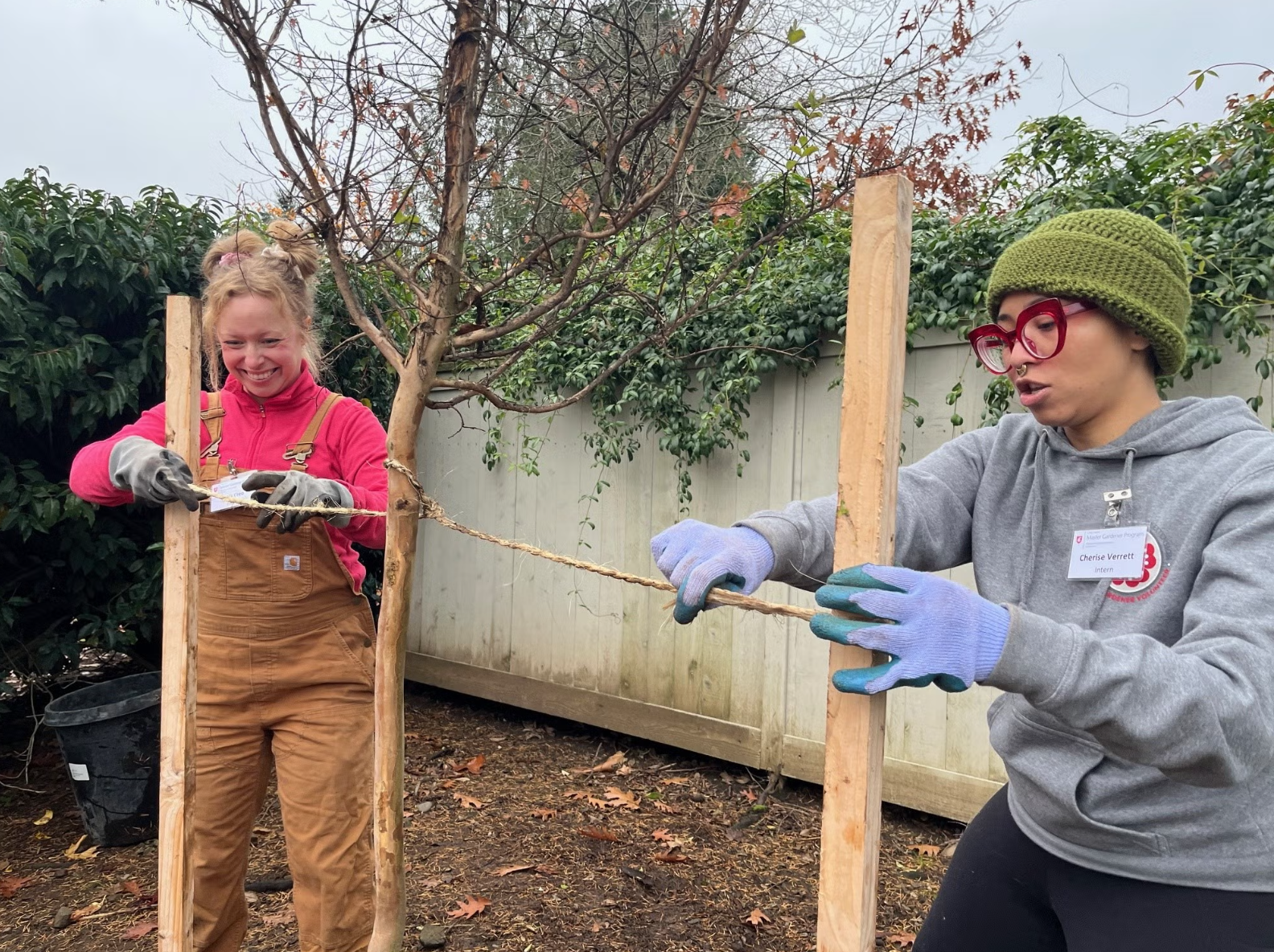Park Hill Cemetery Tree Planting