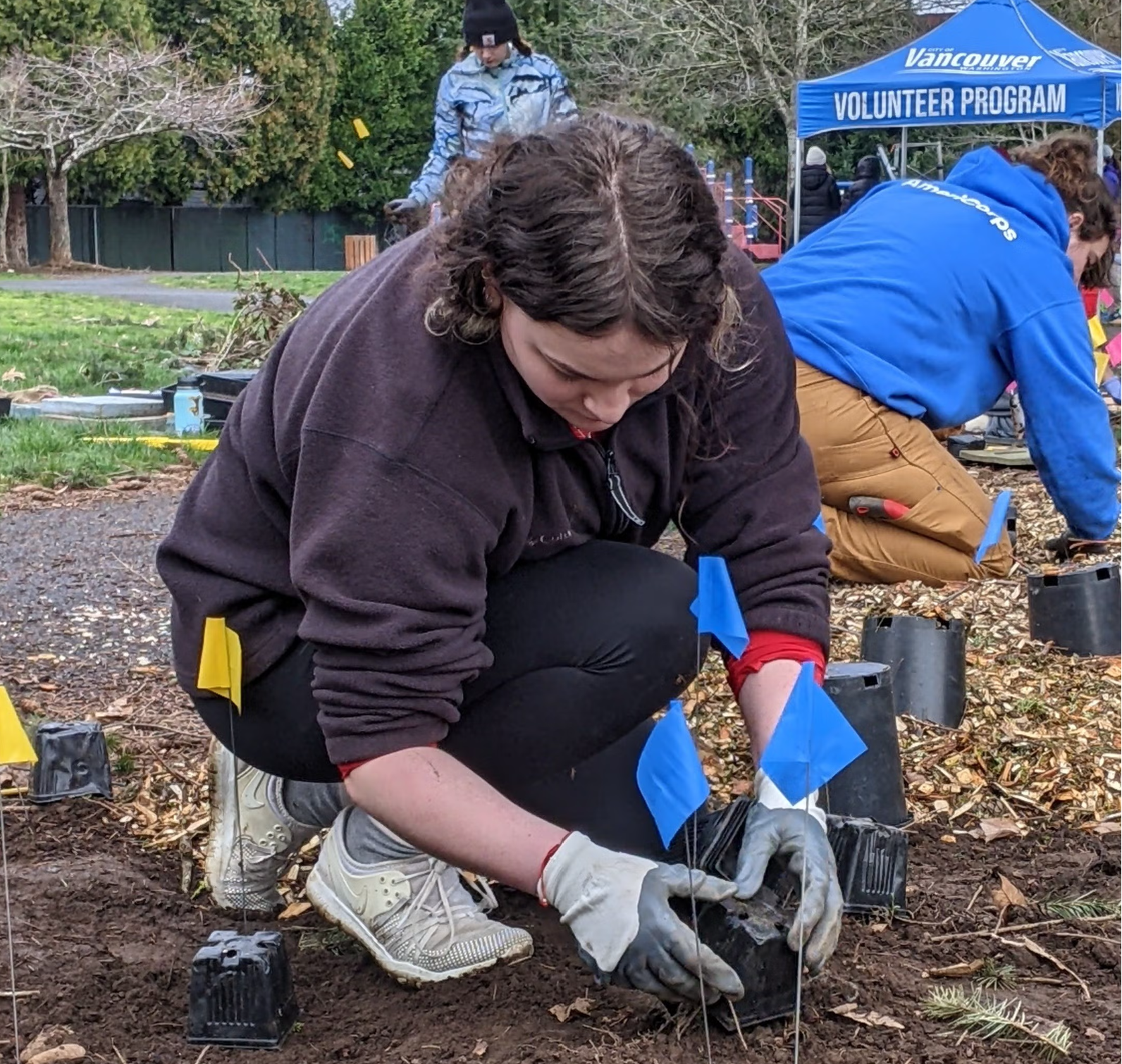 Clearmeadows Park Naturespace Native Garden Planting