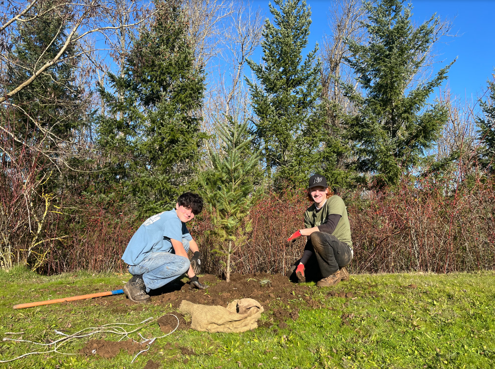 Shaffer Stormwater Site Tree Planting