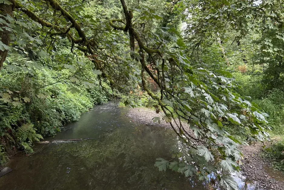Ridgefield Parks, Recreation and Open Space Plan - Open House Workshop