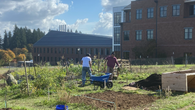 WSU Vancouver Garden Workday