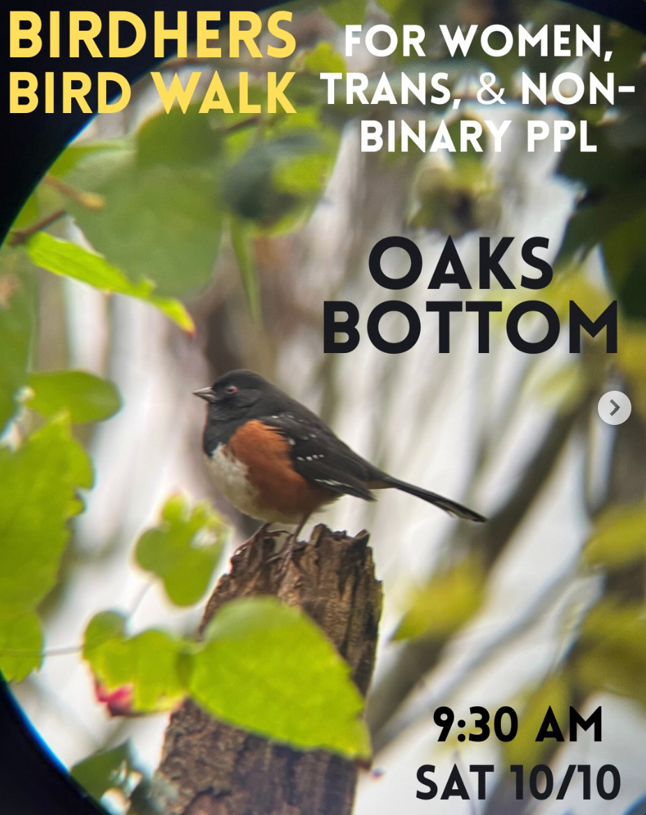 ROAD TRIP: BirdhersPDX Birding Walk 