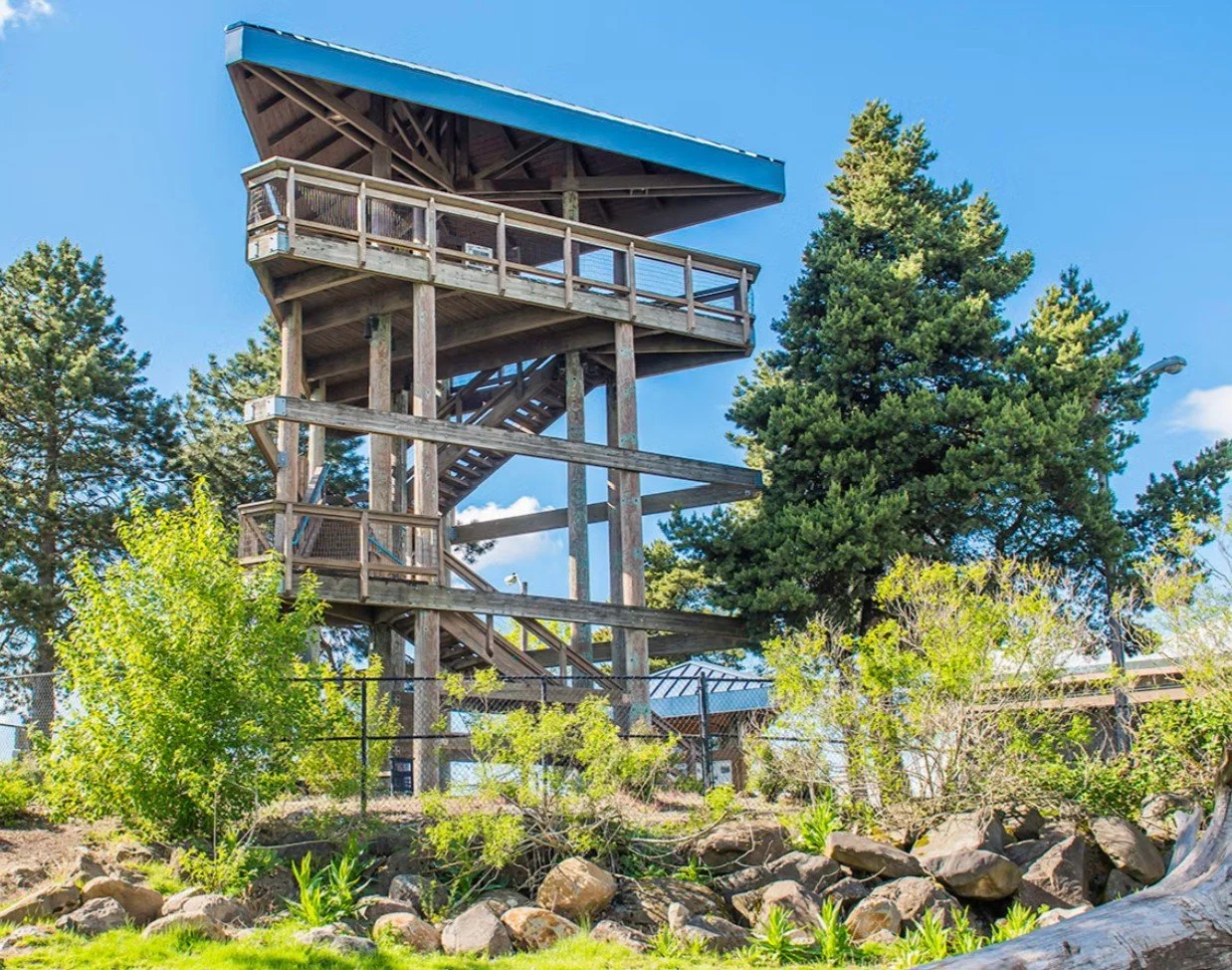 3 story tall view tower at Marine Park Vancouver