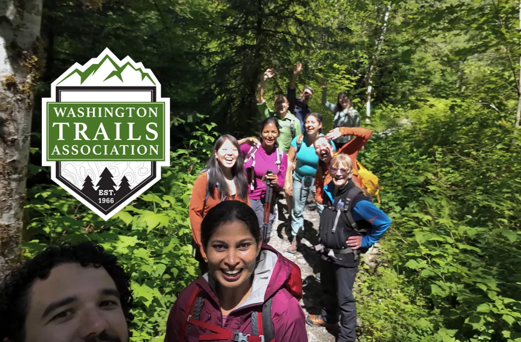 A group of young adults are hiking in the summer on a forest trail