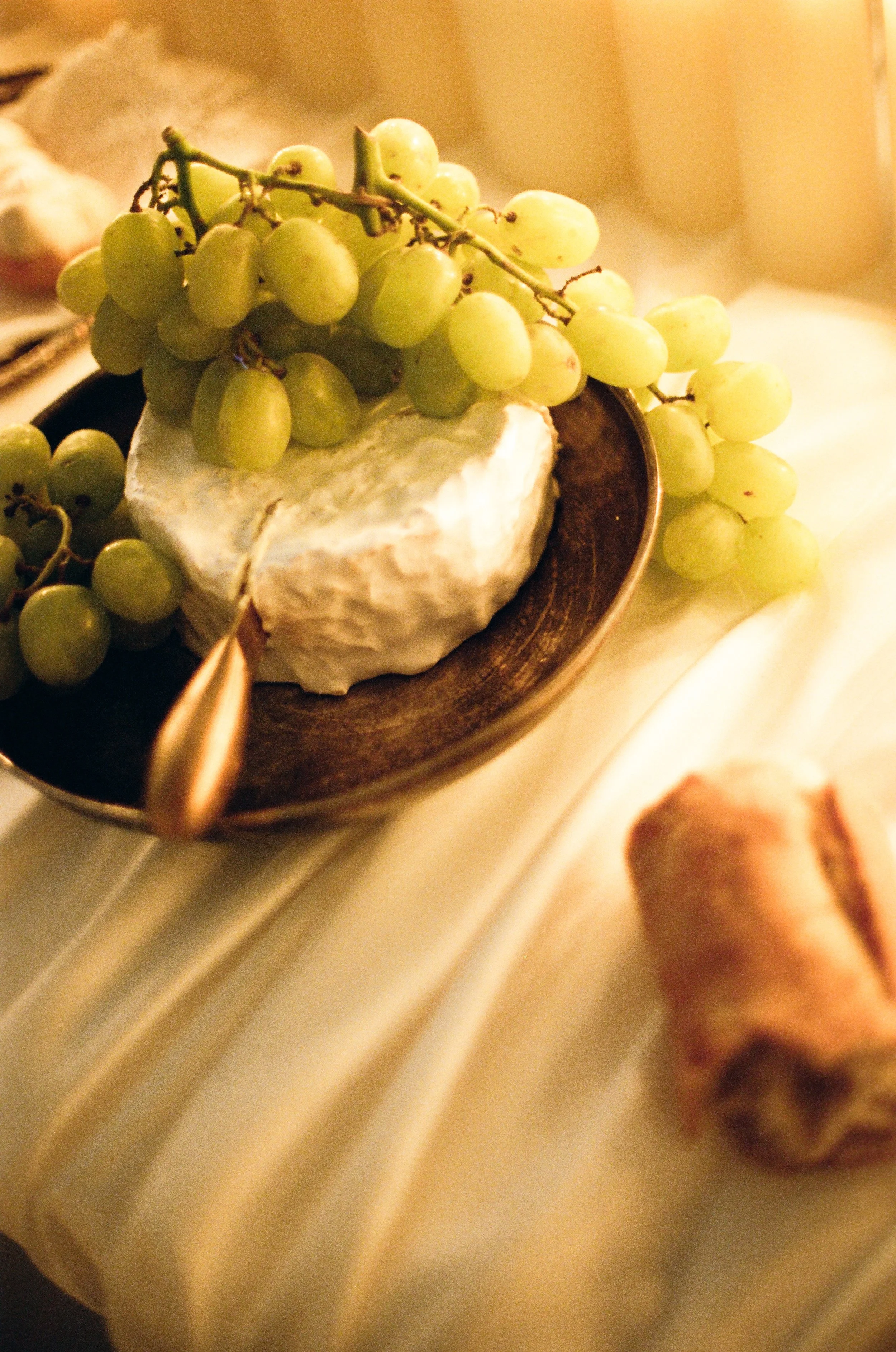 PDC_Winter_FilmxStephanieSunberg-092.jpg (Copy)