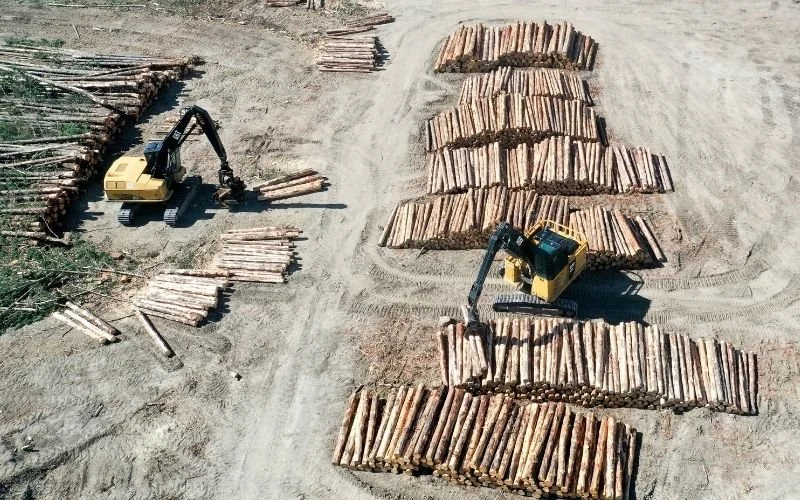 An aerial of lines of logs with machinery picking up the logs