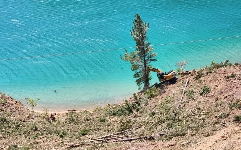 Seaside with hillside of logged forest