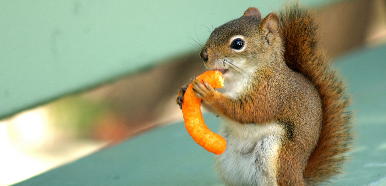 #005: “I Look Like a Cheeto!”