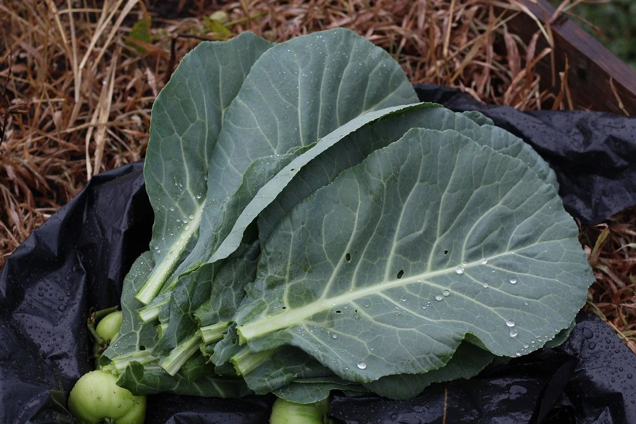Foodstory Cookin: Hermon’s Collard Greens