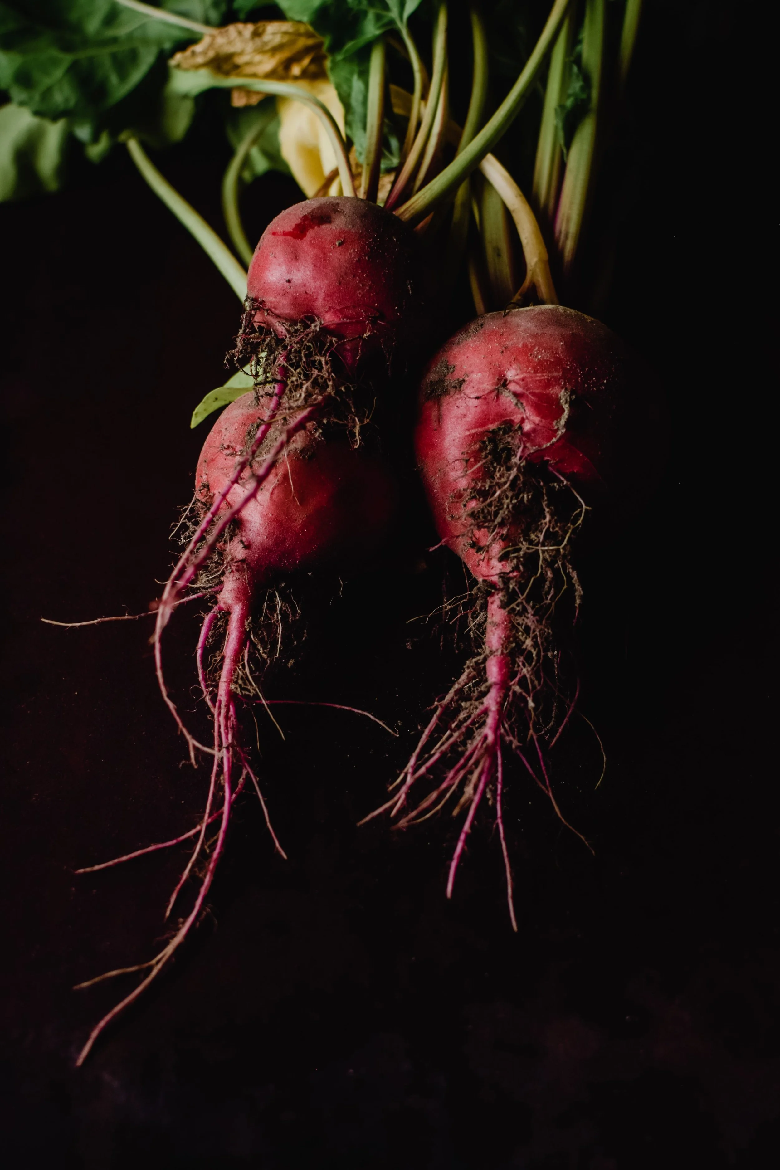 Foodstory Cookin: Hermon’s Beet and Potato Salad