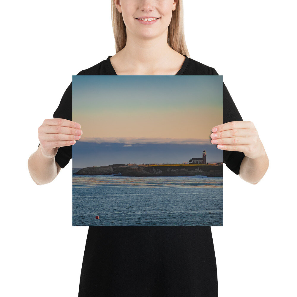 enhanced-matte-paper-poster-(in)-14x14-person-611ad9a40fd32.jpg