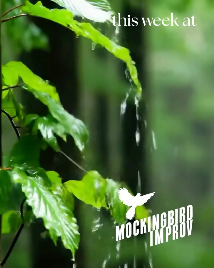 Rain brain? Dry off and laugh it up this week at Mockingbird! From students to singers, vampires to sketchers&mdash;-> tix link in bio 💧
