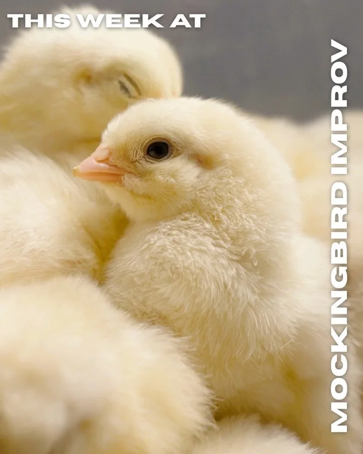 Spring has sprung and it&rsquo;s time to celebrate! Join us this week for fresh joy and laughter - it&rsquo;s what you need!