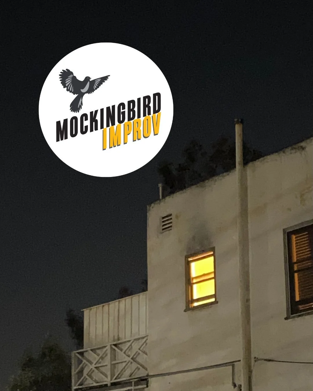 This week at the bird! &mdash;->