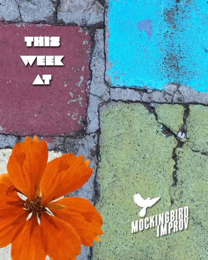 Breeze on down to Mockingbird this week for a wide variety of fun and funny! Tix link in tree 🌺