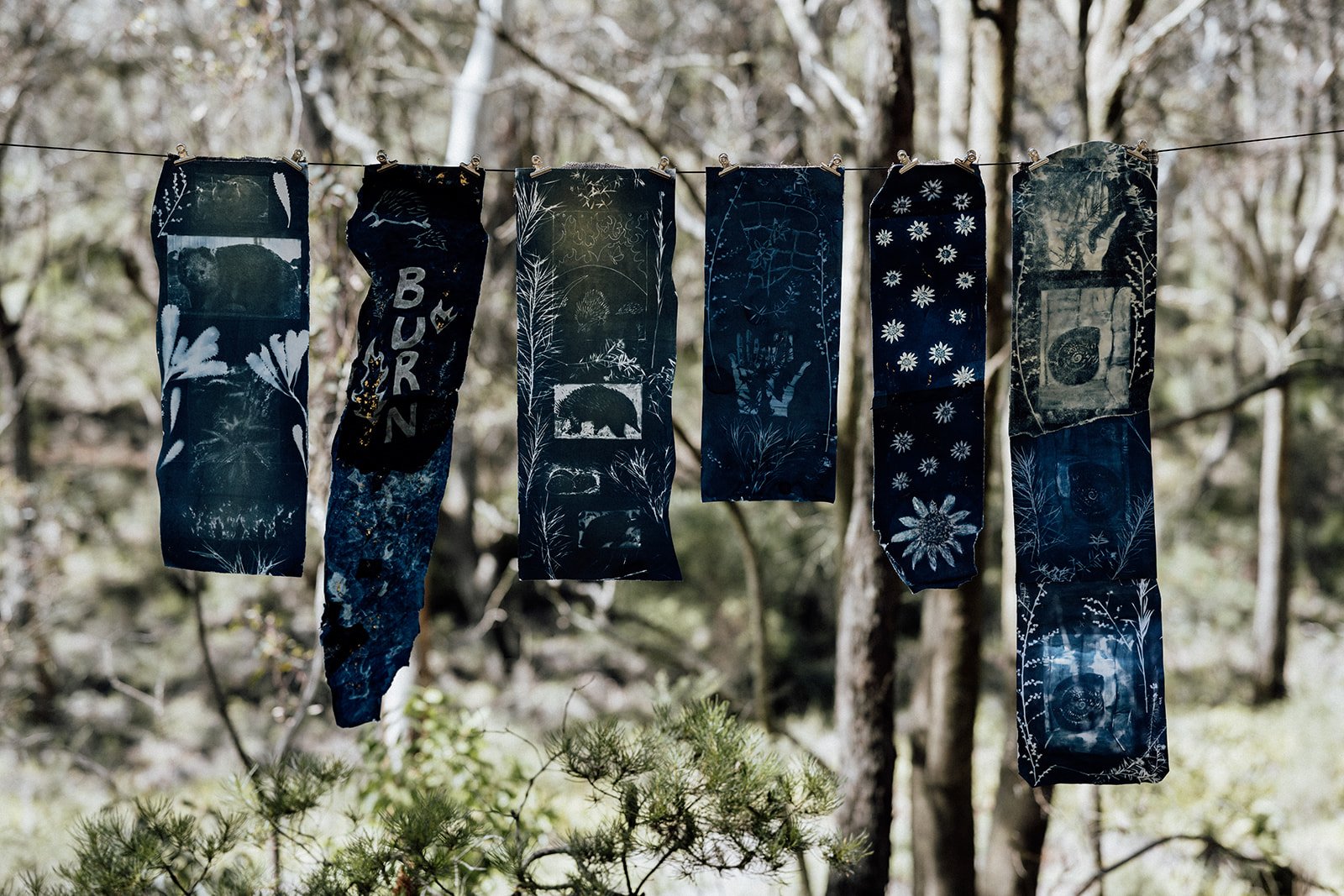 Artwork by Caroline Giniunas, Image by Ona Janzen