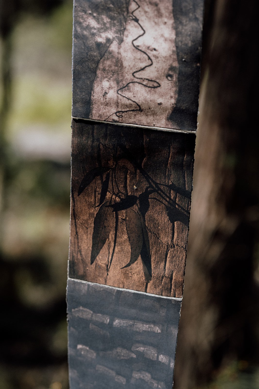 Artwork by Fiona Vaughan, Image by Ona Janzen