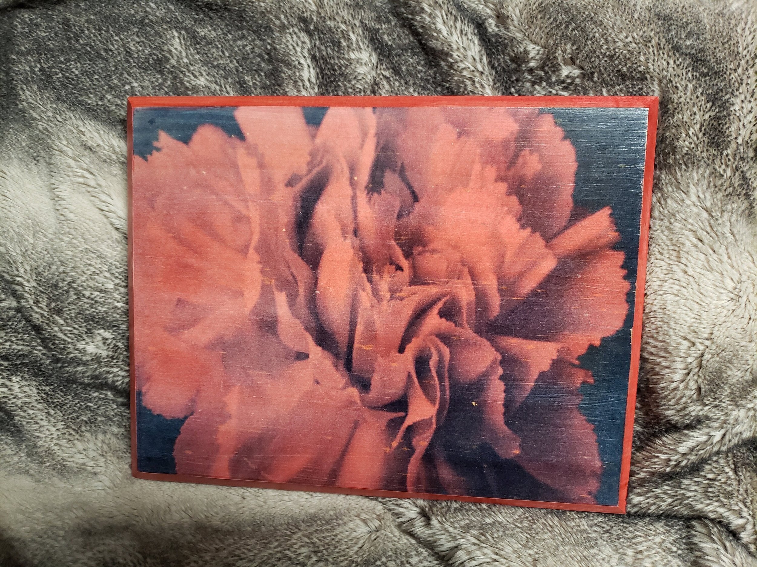 https://i.etsystatic.com/18550718/r/il/4abd1c/3852467413/il_fullxfull.3852467413_kt56.jpg