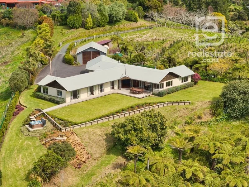 257F Whakamarama 3.jpeg