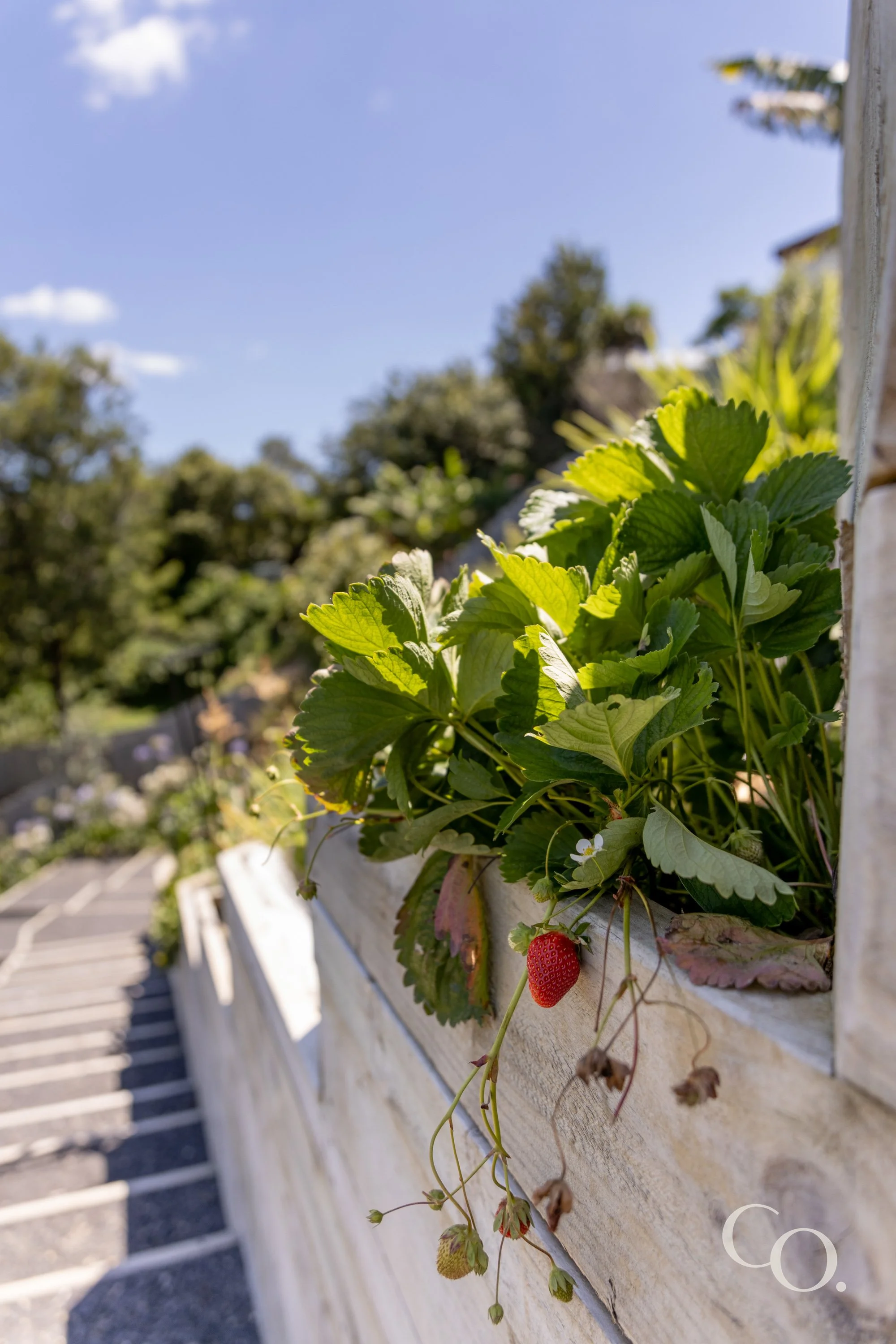 025 - 21D Glenn Terrace Web.jpg