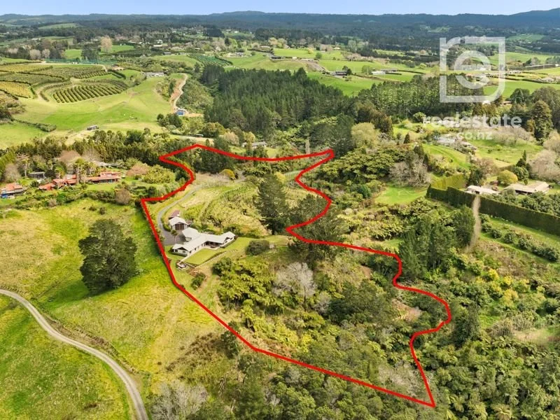 257F Whakamarama 2.jpeg