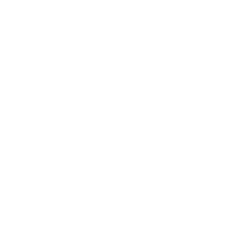 White graphic logo that reads 'The Peak'