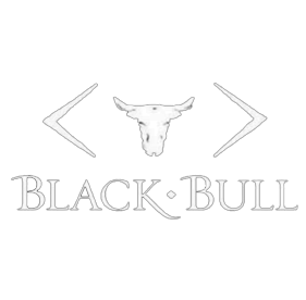 BlackBull logo_transo.png