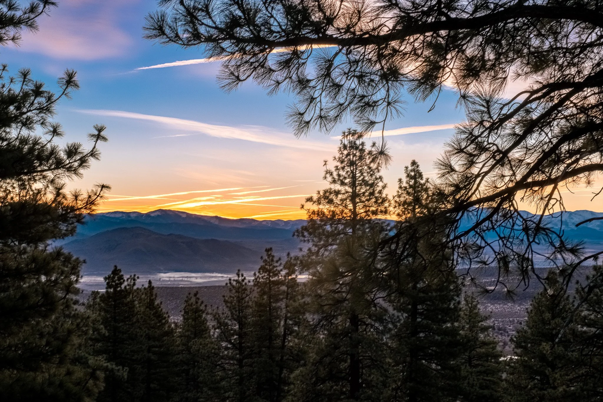 Alignment Over Admiration