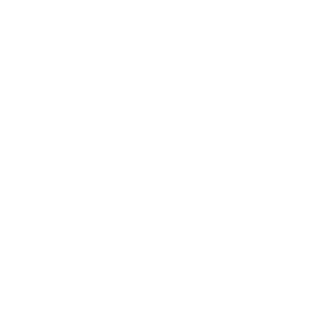 Sunnyside_logo_white.png