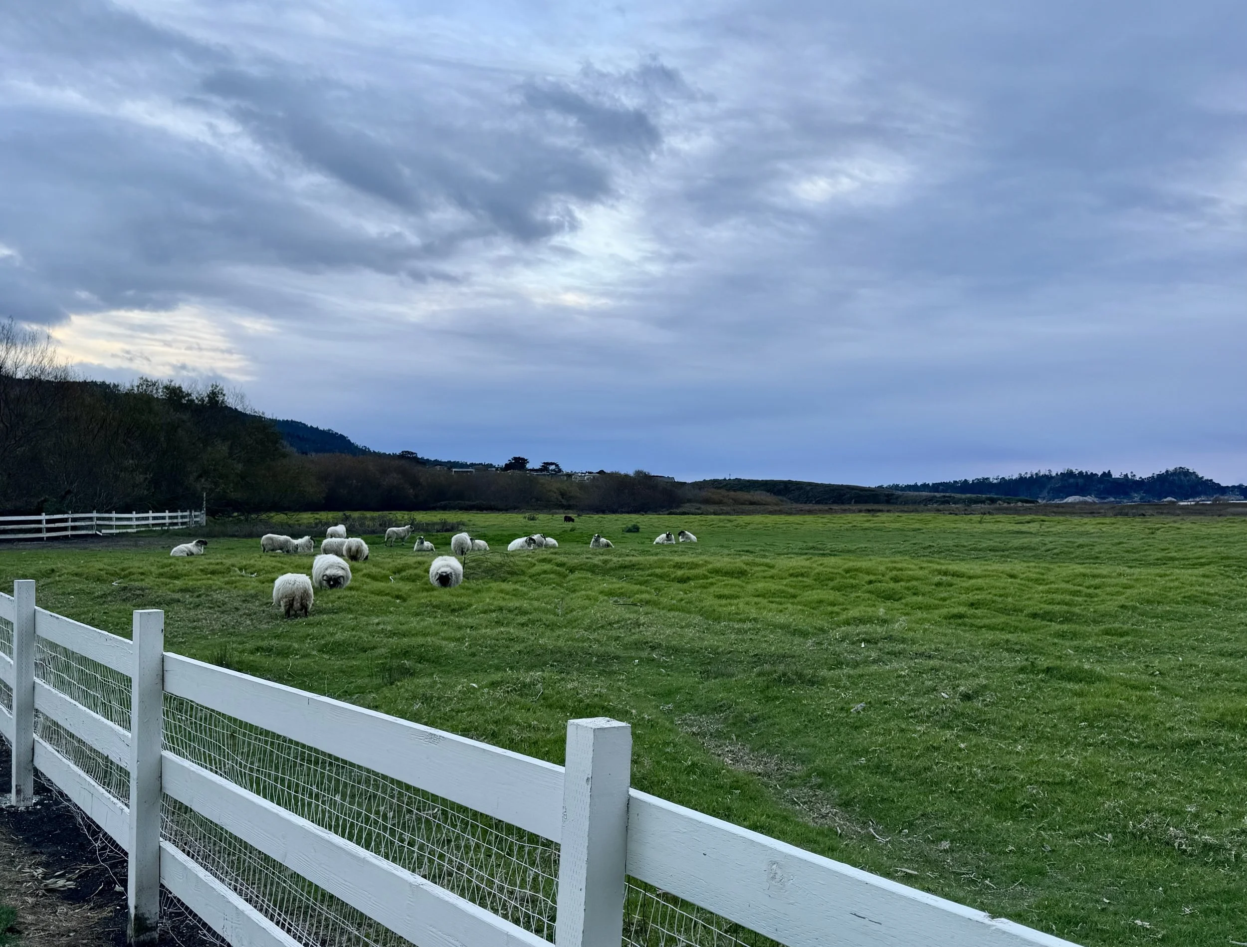 Mission Ranch in Carmel-by-the-Sea