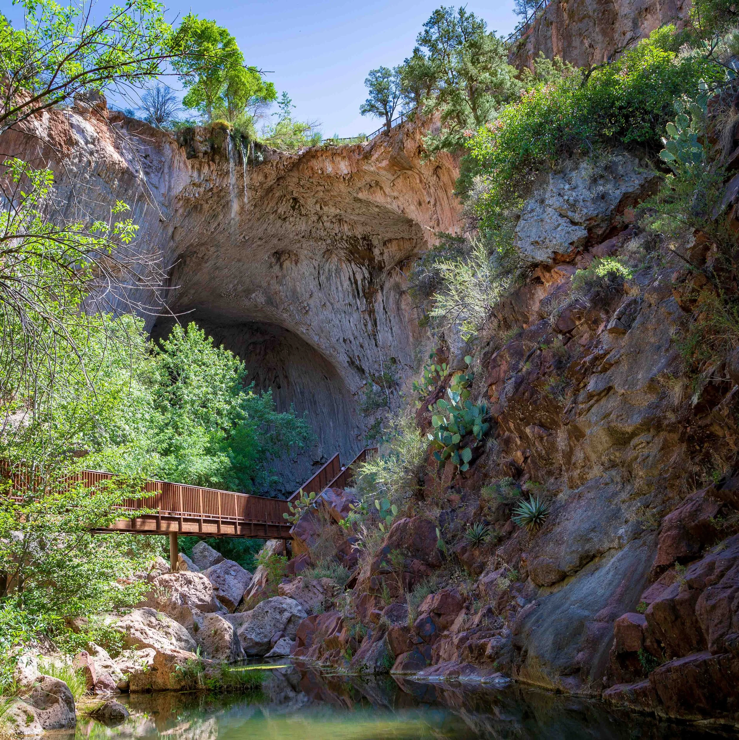Now that's a bridge !