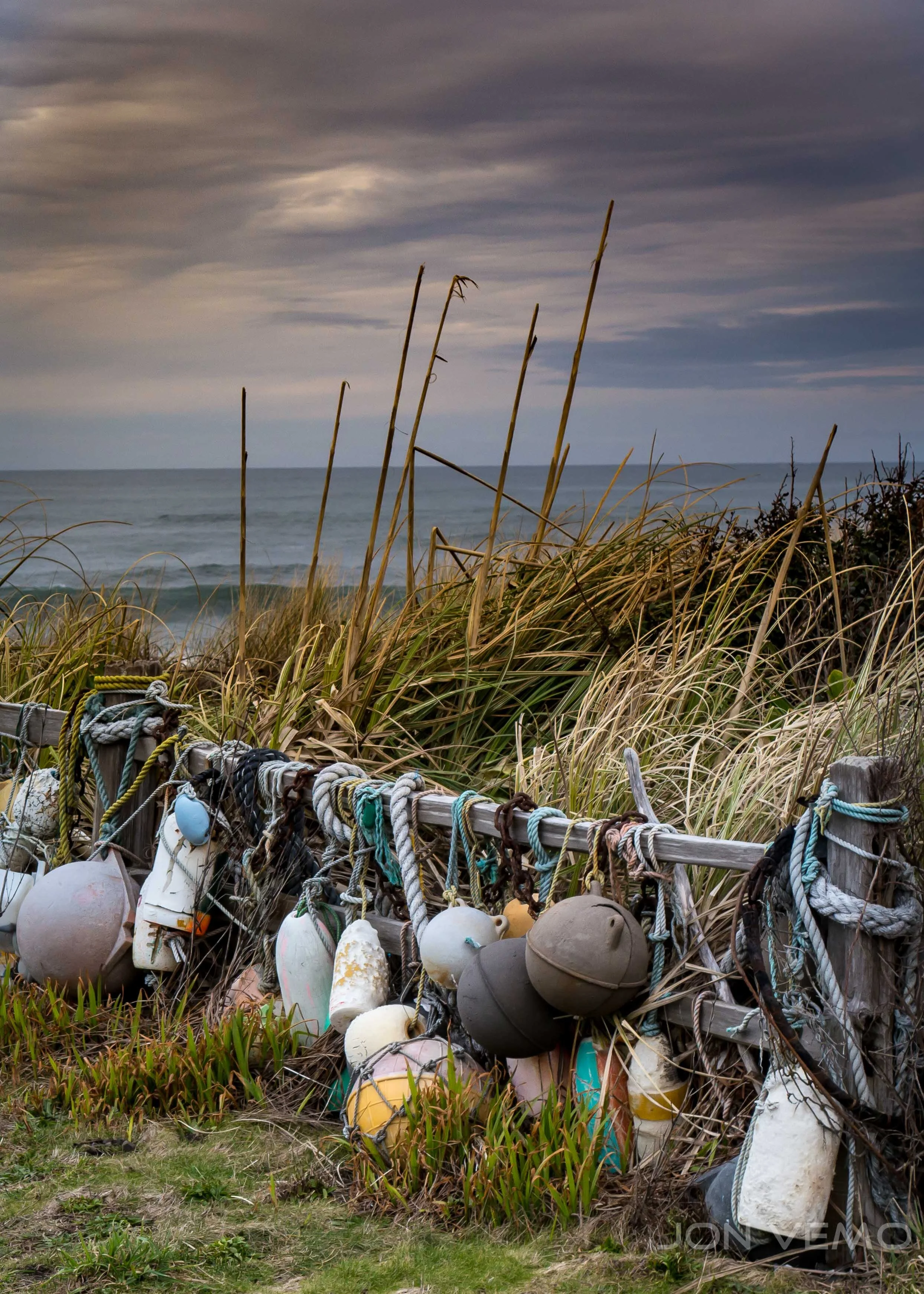 Oregon Coast, last January. Beautiful!